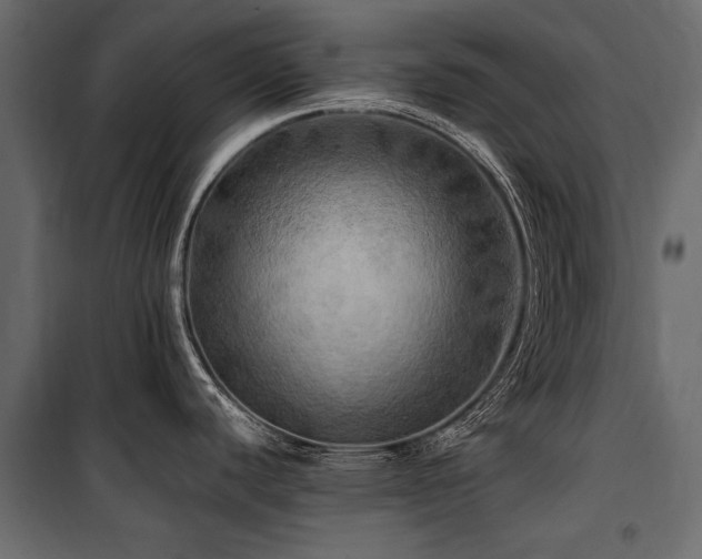 X0000100761440200806191157