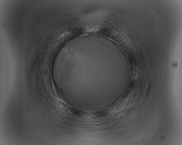 X0000100761441200806191156