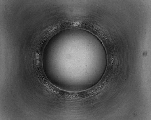 X0000100761442200806191156