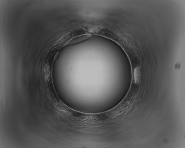 X0000100761443200806191156