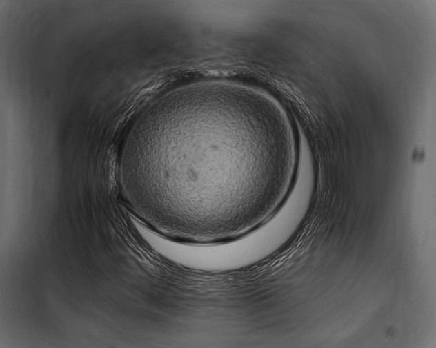 X0000100761444200806191156