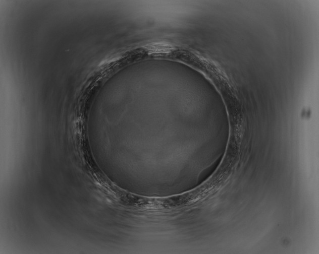 X0000100761445200806191156