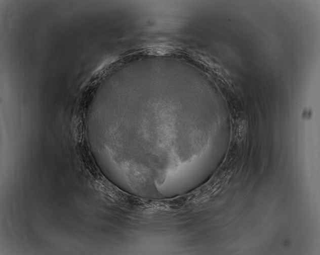 X0000100761446200806191156