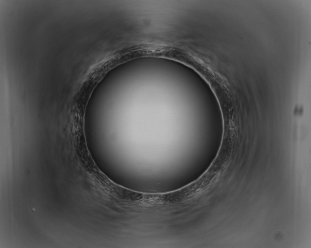 X0000100761447200806191156