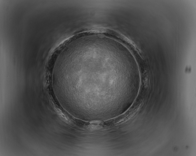 X0000100761448200806191156