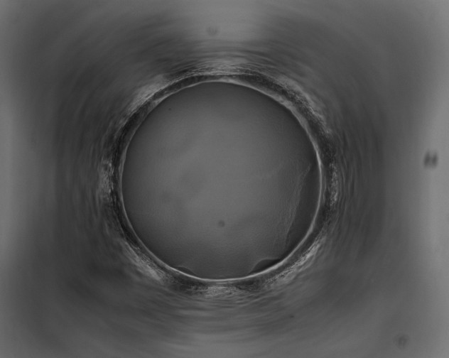 X0000100761449200806191156