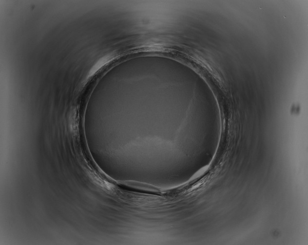 X0000100761450200806191156