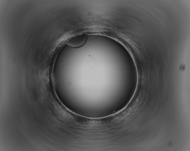 X0000100761451200806191156