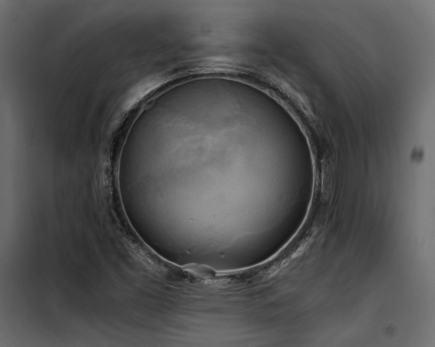 X0000100761453200806191156