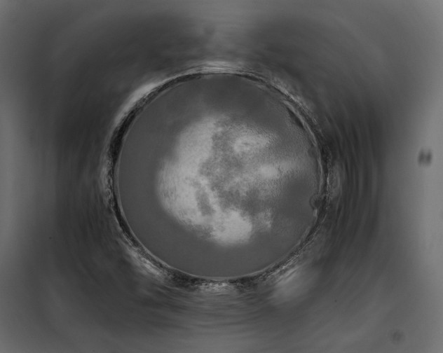 X0000100761454200806191156