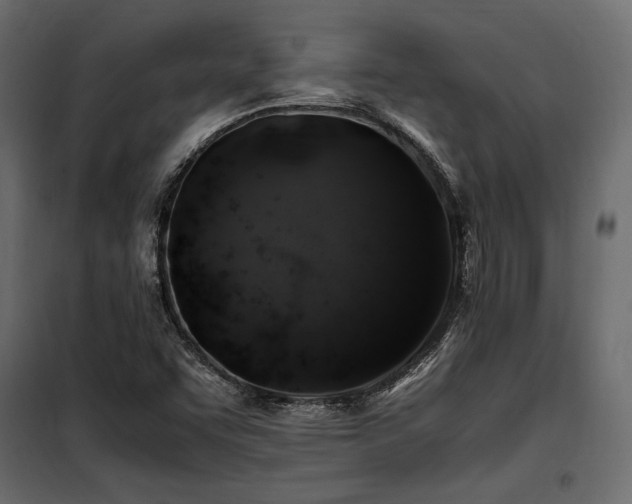 X0000100761455200806191156