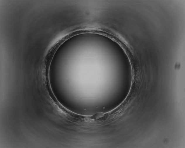 X0000100761456200806191156