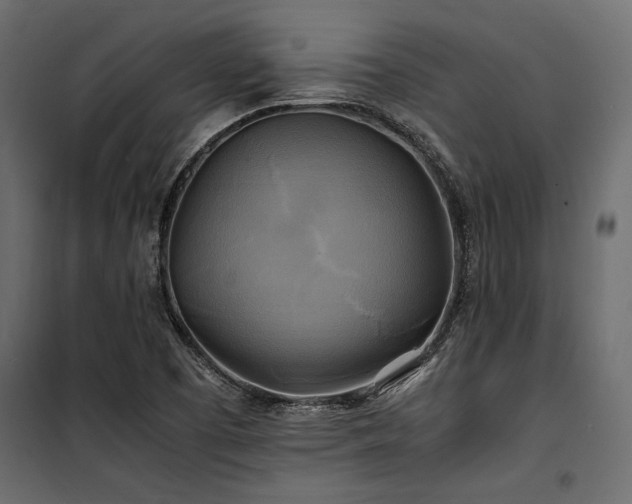 X0000100761457200806191156