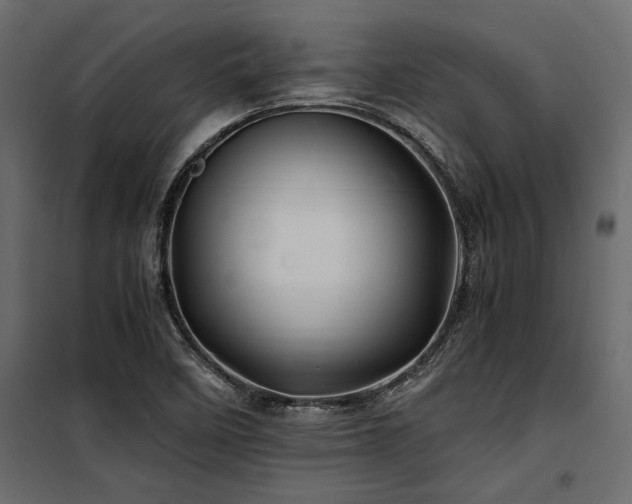 X0000100761458200806191156