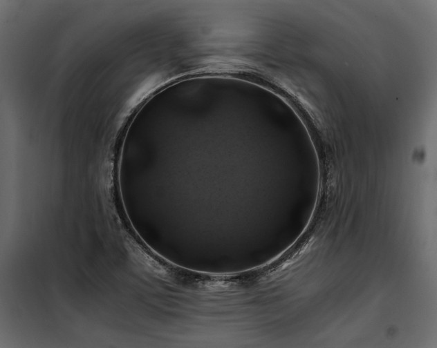 X0000100761459200806191156