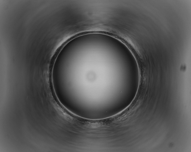 X0000100761460200806191156