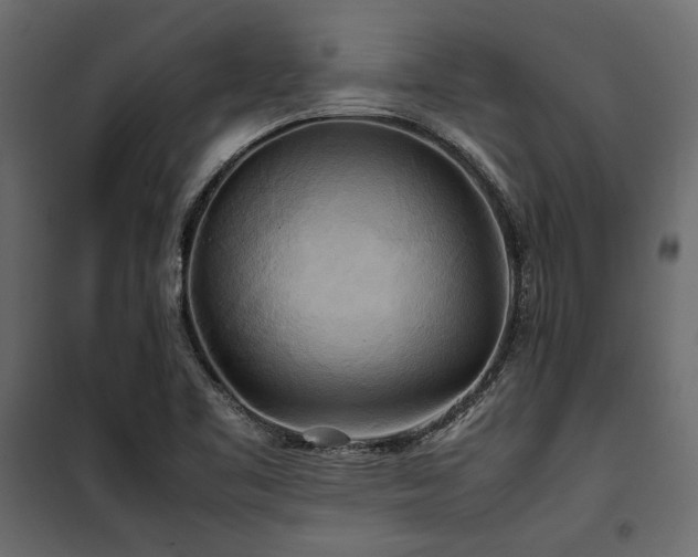 X0000100761461200806191156