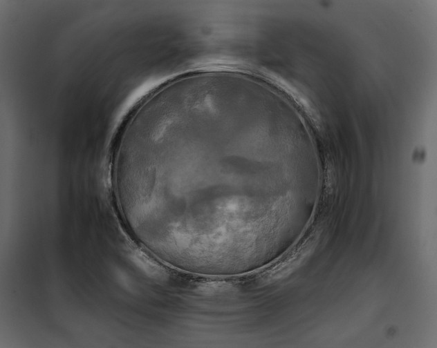 X0000100761462200806191156