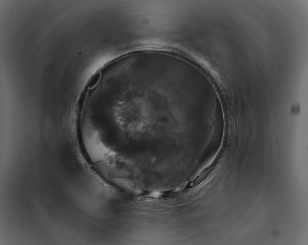 X0000100761463200806191156