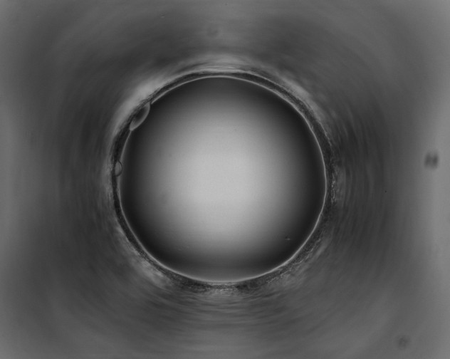 X0000100761464200806191156