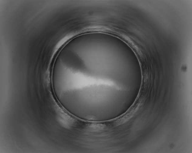 X0000100761466200806191156