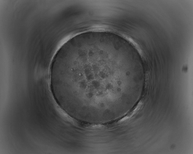 X0000100761467200806191156