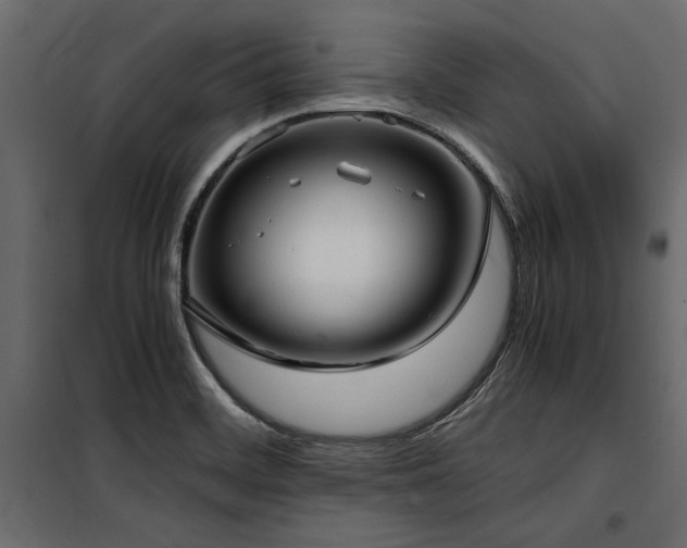 X0000100761468200806191156