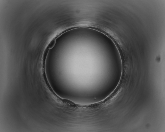 X0000100761469200806191156