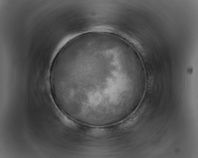 X0000100761470200806191156