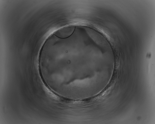 X0000100761471200806191156