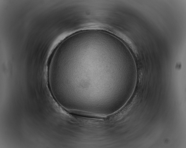 X0000100761472200806191156