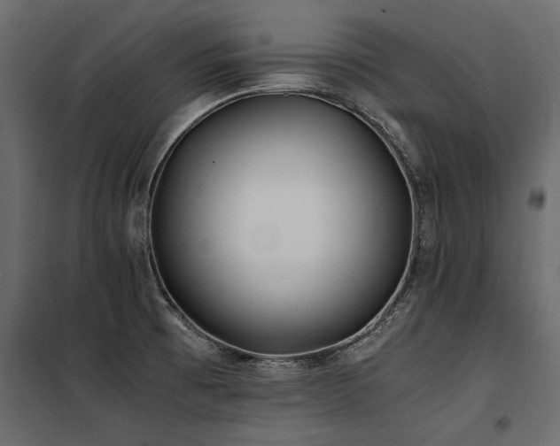 X0000100761473200806191156