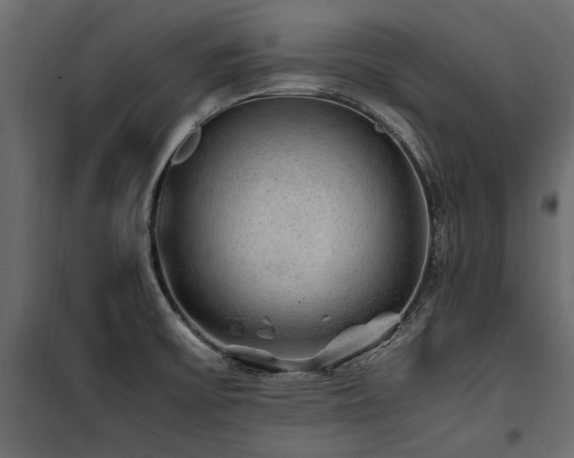 X0000100761475200806191156