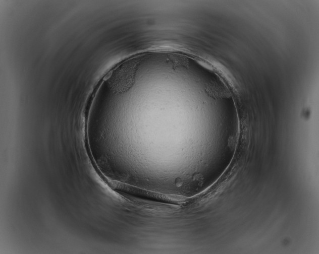 X0000100761476200806191156