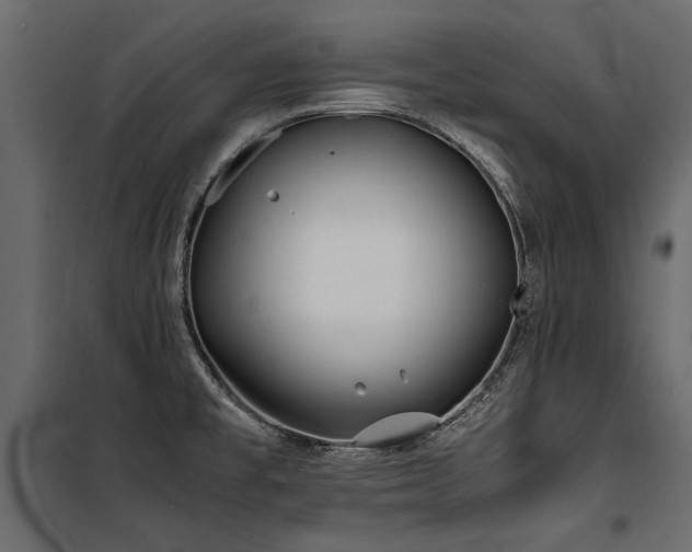 X0000100761477200806191156