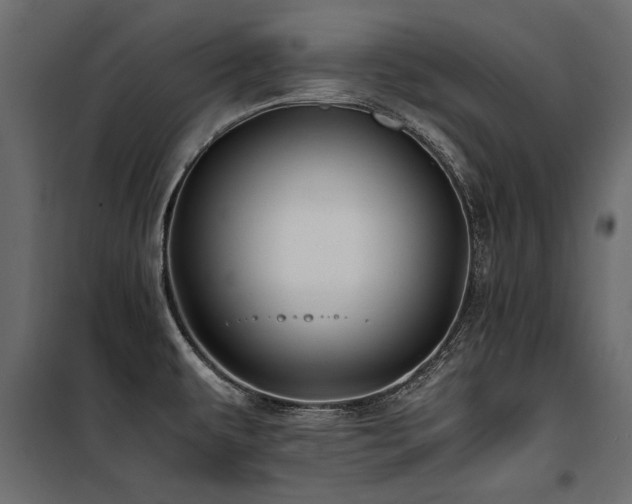 X0000100761479200806191156