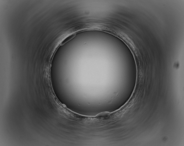 X0000100761481200806191156