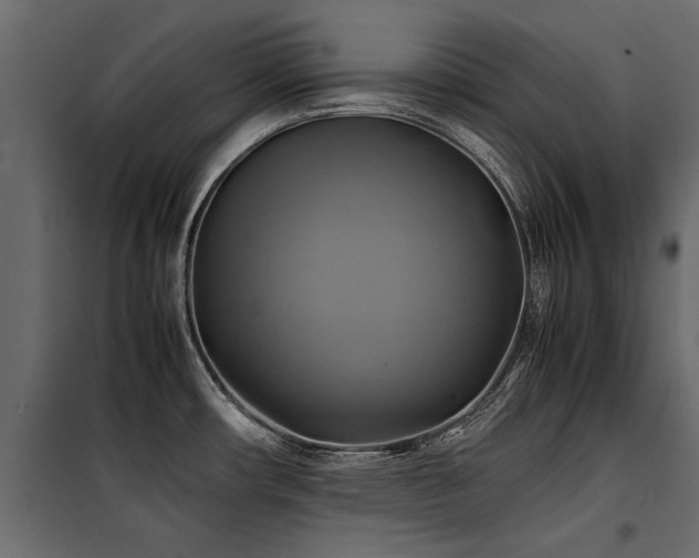 X0000100761482200806191156