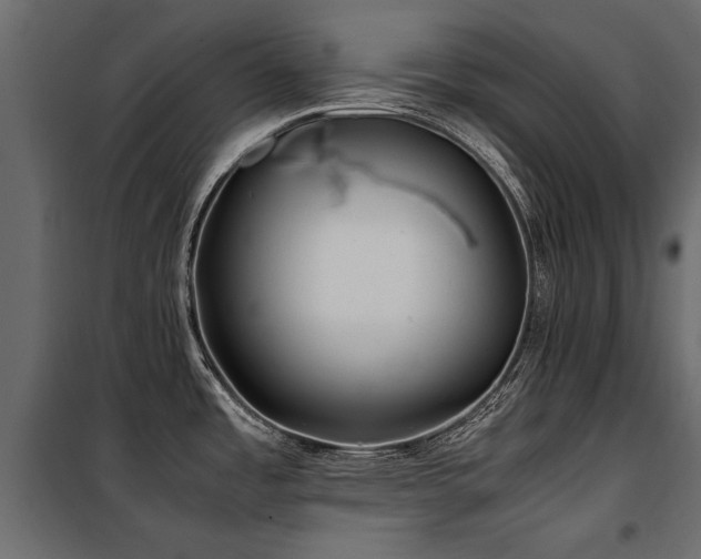 X0000100761485200806191156