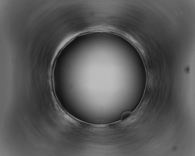 X0000100761486200806191156