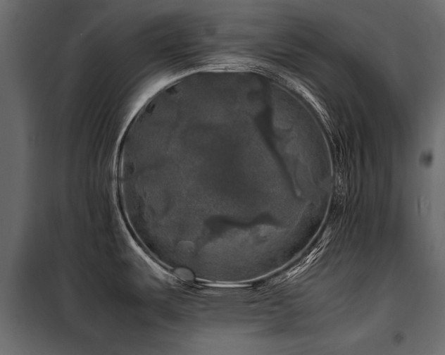 X0000100761487200806191156