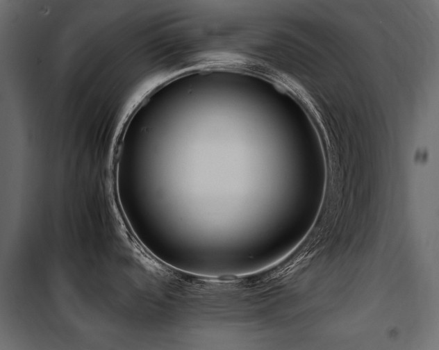 X0000100761488200806191156