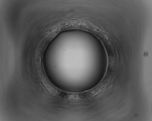 X0000100761489200806191155