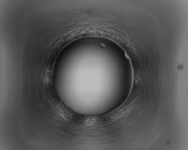 X0000100761490200806191155