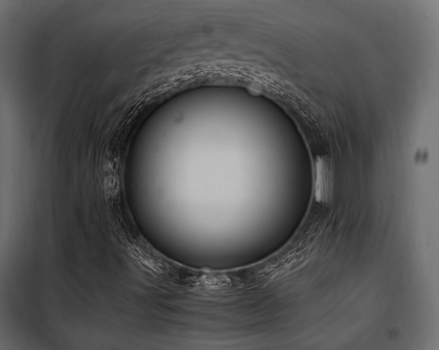 X0000100761491200806191155