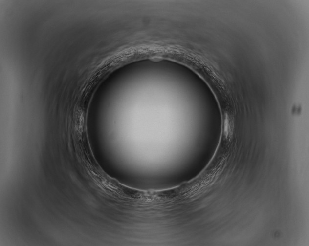 X0000100761492200806191155