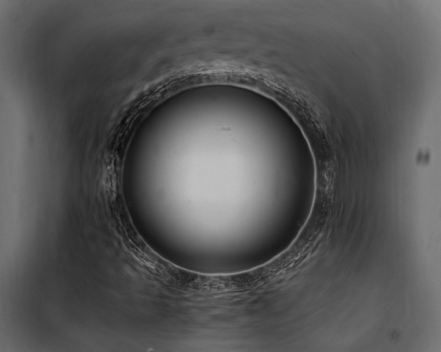 X0000100761493200806191155