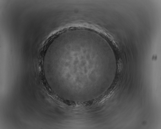 X0000100761494200806191155