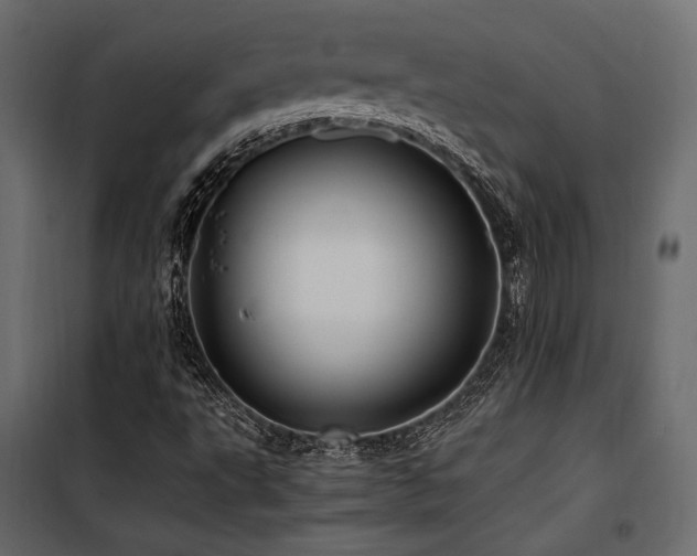 X0000100761495200806191155