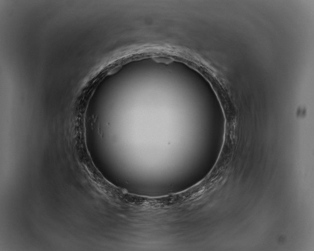 X0000100761496200806191155